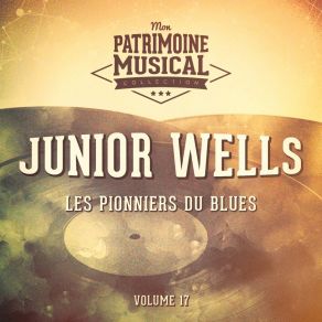 Download track Galloping Horses A Lazy Mule Junior Wells