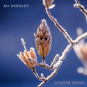 Download track Scuttle Bug Bo Diddley