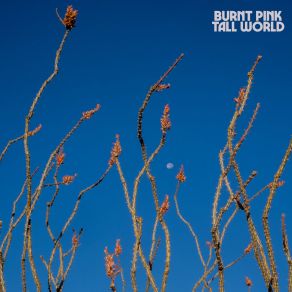 Download track At Rest Swarvy