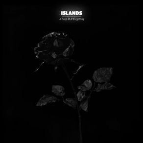 Download track Can'T Feel My Face Islands