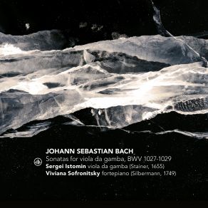Download track Musikalisches Opfer, BWV 1079 Ricercar A 3 In C Minor Ricercar Sergei Istomin, Viviana Sofronitsky