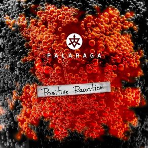 Download track Positive Reaction Palaraga