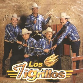 Download track Contrabando Y Traición Los Tigrillos