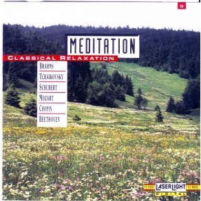 Download track The Sleeping Beauty, Ballet, Op. 66~Panorama The Meditation
