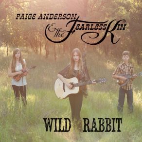 Download track Where Did You Go Paige Anderson, The Fearless Kin