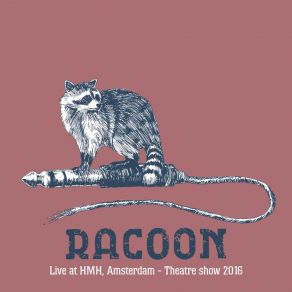 Download track Took A Hit (Live) Racoon