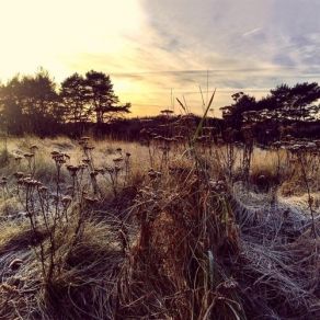 Download track 08 - How To Disappear Completely Ane Brun
