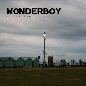 Download track How I'm Feeling Now The Wonderboy