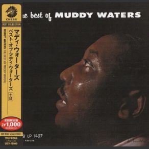 Download track Rollin' And Tumblin' (Part 1) Muddy Waters