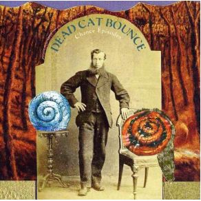 Download track Food Blogger Dead Cat Bounce