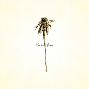 Download track Big Bird In A Small Cage Patrick Watson