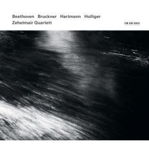 Download track String Quartet In C Minor, WAB 111 - 1. Allegro Moderato Zehetmair Quartett