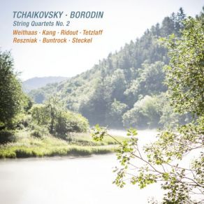 Download track String Quartet No. 2 In D Major- IV. Finale. Andante - Vivace Julian Steckel, Antje Weithaas, Tanja Tetzlaff, Byol Kang, Barbara Buntrock, Anna Reszniak, Timothy Ridout