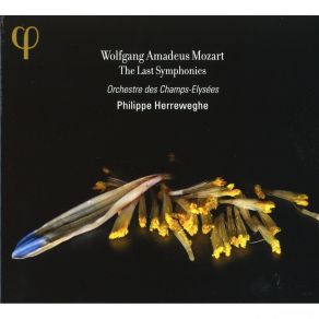 Download track Symphony No. 40 In G Minor, K. 550 (1788): I. Molto Allegro Mozart, Joannes Chrysostomus Wolfgang Theophilus (Amadeus)