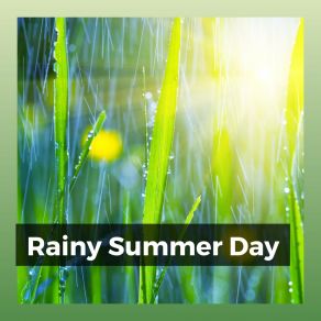Download track I Give Life To A Tree Rain For Deep Sleeping