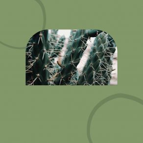 Download track Trio Jazz Soundtrack For Recharging Routines Soft Jazz Moment