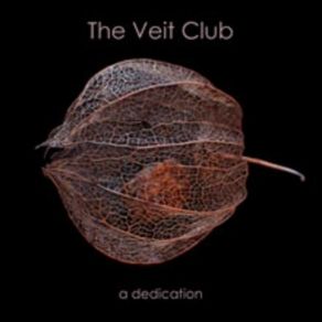 Download track I Wanna Sleep While I'M Awake The Veit Club