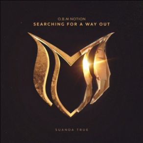 Download track Searching For A Way Out (Extended Mix) O. B. M Notion