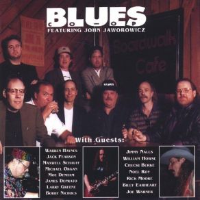 Download track Why Can't I Get Lucky With You? John Jaworowicz' Blues Colective