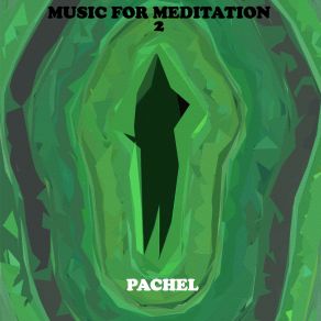 Download track Five Strings Pachel