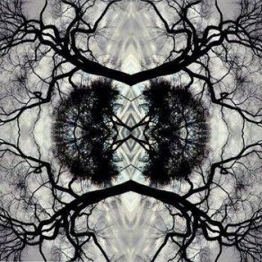 Download track Part Three Adam Rudolph Go: Organic Orchestra