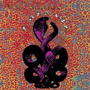Download track Tapir Song Bardo Pond