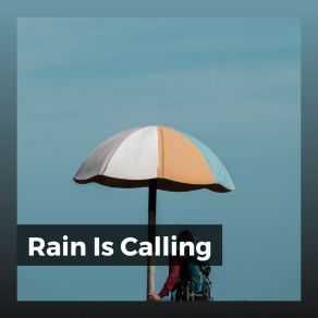 Download track Rain Playlist Heavy Rain Sounds