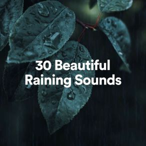 Download track 30 Beautiful Raining Sounds, Pt. 25 24H Rain Sounds