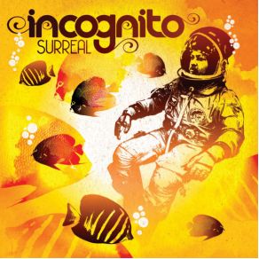 Download track Don'T Wanna Know Incognito