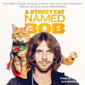 Download track Chasing Bob David Hirschfelder