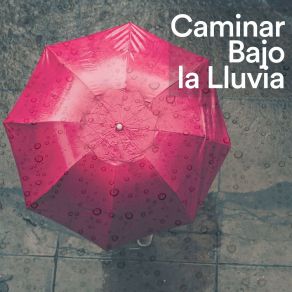 Download track Simple Beautiful Rain Rain Storm
