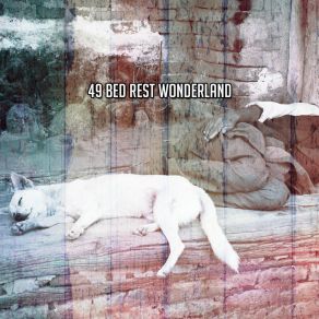 Download track Go Fast Asleep Relax Nature Sounds Artists