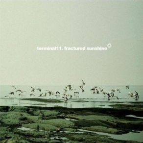Download track The Bird's Midair Heatstroke Terminal 11