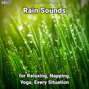 Download track Rain Sounds To Help You Sleep Nature Sounds