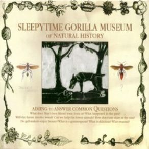 Download track Cockroach Sleepytime Gorilla Museum