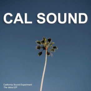 Download track Let Go California Sound Experiment