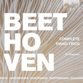 Download track Piano Trio In E-Flat Major, Op. 63, After String Quintet, Op. 4: IV. Finale. Presto Trio Élégiaque