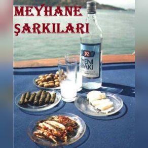 Download track Canımın Ta İçisin Sen Alaaddin Şensoy