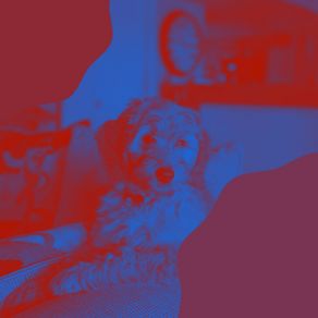 Download track Pulsating Ambience For Relaxing Your Dog Famous Doggy Music