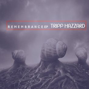 Download track The Visual Effect Tripp Hazzard