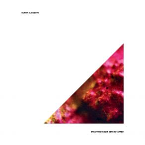 Download track Einsicht Roman Jungblut