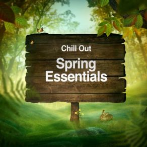 Download track Spring Breezed Road Ambitus