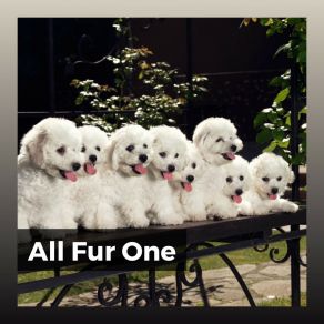 Download track A Relaxing Sound For A Dog Pet Care Music Therapy