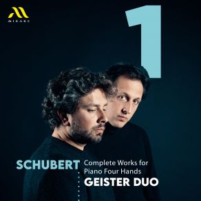 Download track Fantasie In F Minor, D. 940, Op. 103: IV. Tempo I' Geister Duo