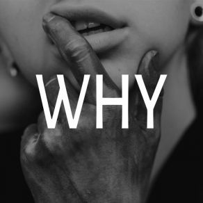 Download track Why Kallay Saunders, Karma Prince, Coyot