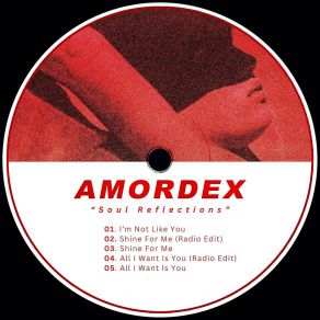 Download track I'm Not Like You Amordex