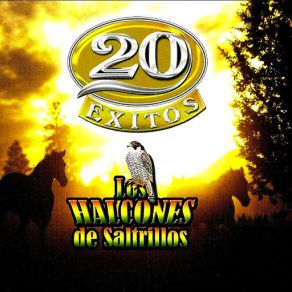 Download track Caballo Prieto Azabache Los Halcones De Saltrillos