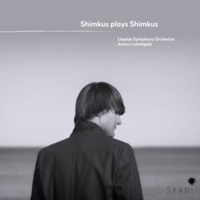 Download track Dreamscapes. Nine Etudes For Piano: VIII. - IX. Reality - Bullets Vestard Shimkus