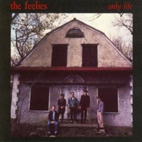 Download track The Undertow The Feelies