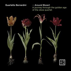 Download track 08. Quartet In F Major, Op. 37 II. Andantino - Quartetto Bernardini Quartetto Bernardini